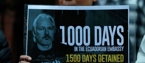 The prosecutor in charge of Julian Assange's case in Sweden has disgraced the country and should be replaced, according to another, former, prosecutor who wrote a scathing critique in a major Swedish daily. - Sputnik International