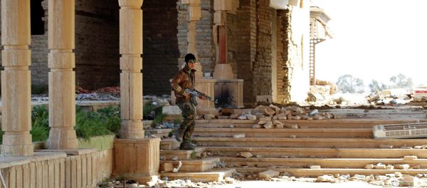 A Sunni fighter - Sputnik International