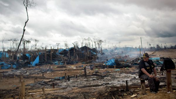 A policeman sits on a log at an illegal mining camp burned to the ground as part of an operation to eradicate illegal mining in the area known as La Pampa, in Peru's Madre de Dios region. - Sputnik International
