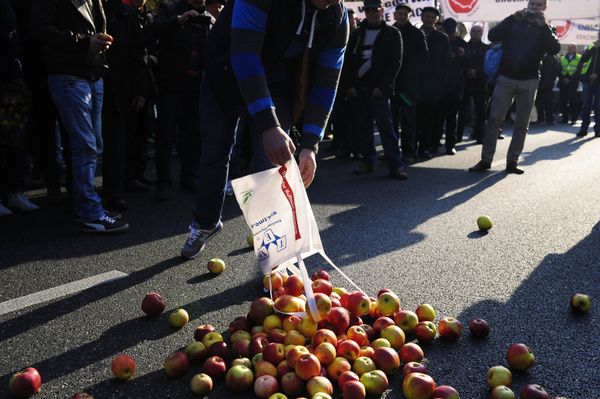 Polish farmers and horticulturists protest in Warsaw Polish farmers and horticulturists protest in Warsaw - Sputnik International