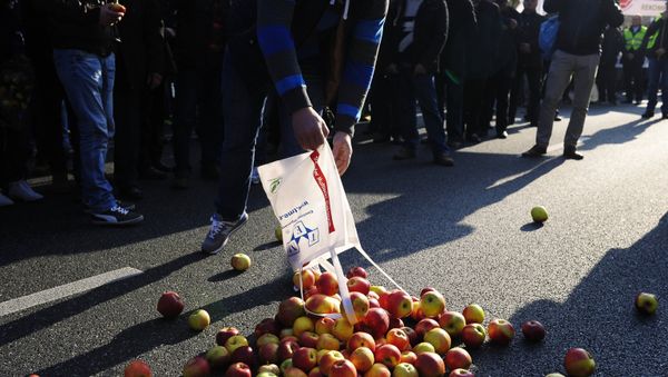In response to Western sanctions, in August 2014 Moscow introduced a ban on the import of a range of food items from the countries that supported the restrictions. In response to Western sanctions, in August 2014 Moscow introduced a ban on the import of a range of food items from the countries that supported the restrictions. - Sputnik International