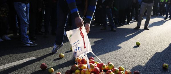 In response to Western sanctions, in August 2014 Moscow introduced a ban on the import of a range of food items from the countries that supported the restrictions. In response to Western sanctions, in August 2014 Moscow introduced a ban on the import of a range of food items from the countries that supported the restrictions. - Sputnik International