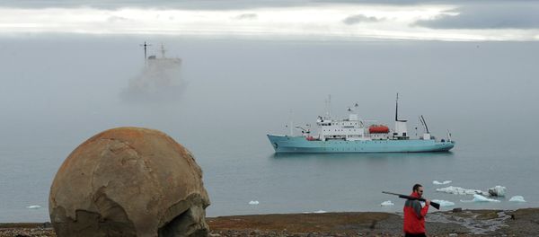 Russian Arctic National Park Russian Arctic National Park - Sputnik International