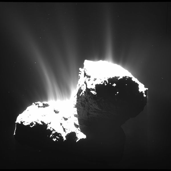 This photo of Comet 67P/Churyumov-Gerasimenko was taken by the OSIRIS wide-angle camera on the Rosetta space probe on Nov. 22, 2014. This photo of Comet 67P/Churyumov-Gerasimenko was taken by the OSIRIS wide-angle camera on the Rosetta space probe on Nov. 22, 2014. - Sputnik International