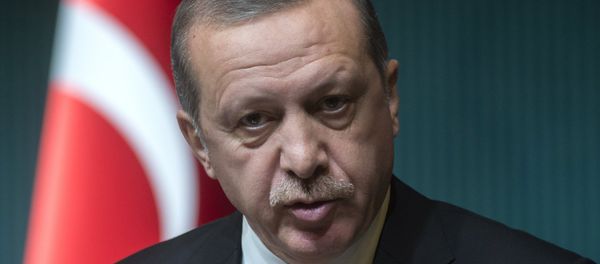 President of Turkey Recep Tayyip Erdogan President of Turkey Recep Tayyip Erdogan - Sputnik International