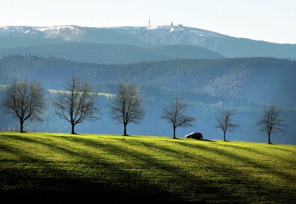 Wonders of Nature: Forests of the World - Sputnik International
