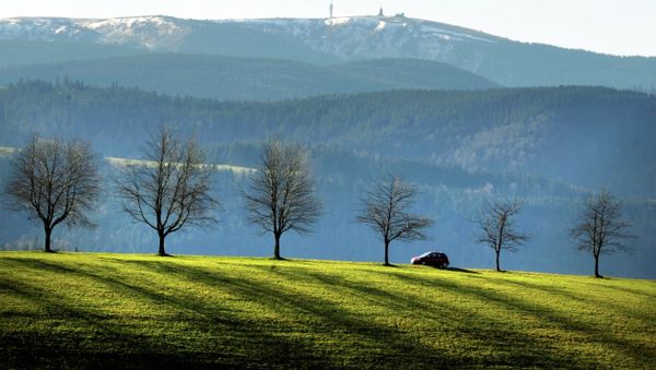 A car drives through the Black Forest near St Maergen backdropped by the Feldberg mountain, southern Germany A car drives through the Black Forest near St Maergen backdropped by the Feldberg mountain, southern Germany - Sputnik International