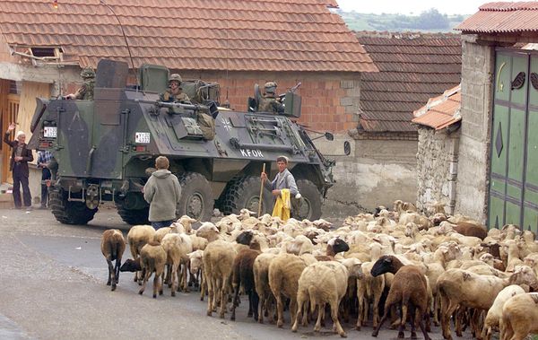 A German armoured vehicle part of the NATO-led KFOR troops drives past a herd of sheep 17 June 1999 in Orahovac, south western Kosovo. - Sputnik International