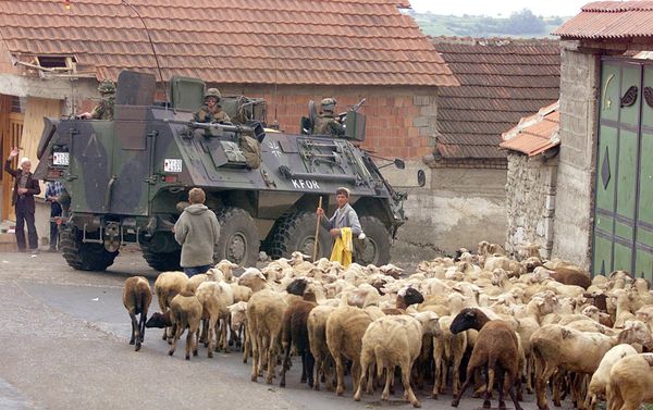 A German armoured vehicle part of the NATO-led KFOR troops drives past a herd of sheep 17 June 1999 in Orahovac, south western Kosovo. A German armoured vehicle part of the NATO-led KFOR troops drives past a herd of sheep 17 June 1999 in Orahovac, south western Kosovo. - Sputnik International