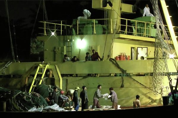 Workers from Myanmar load fish onto a Thai-flagged cargo ship in Benjina, Indonesia. - Sputnik International