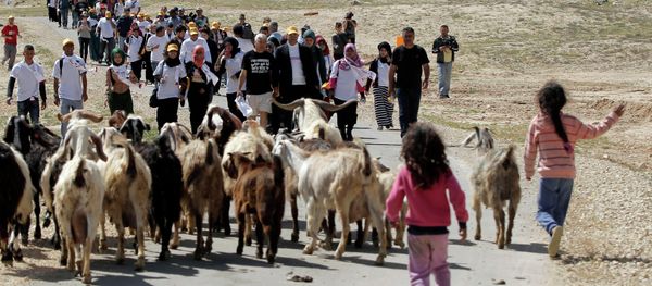 Bedouin children and their herd of goats walk toward protesters during a four-day march to Jerusalem - Sputnik International