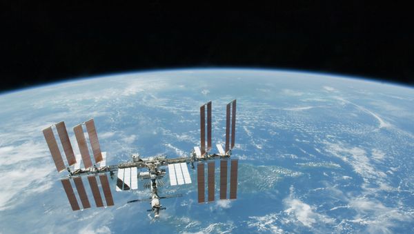 This 2010 file photo provided by NASA shows the International Space Station with Earth's horizon as a backdrop. - Sputnik International