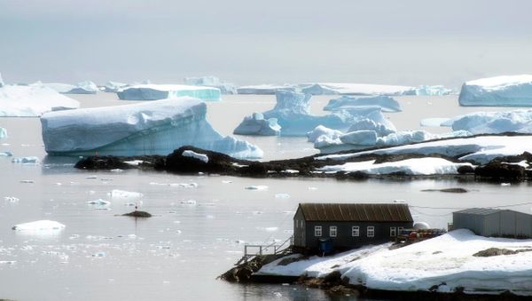 Vernadsky Station in Antarctica - Sputnik International
