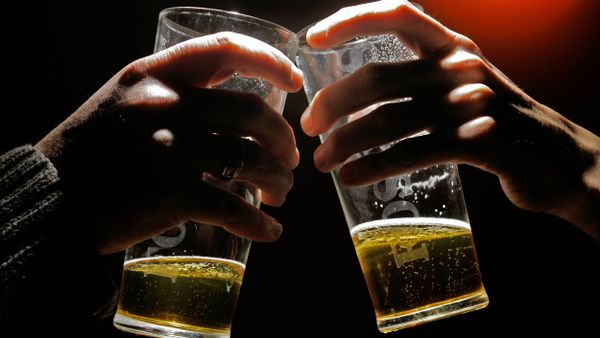 Two pints of beer Two pints of beer - Sputnik International