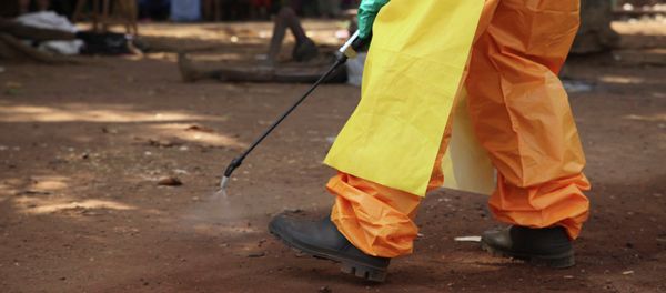 A member of the French Red Cross disinfects the area around a motionless person suspected of carrying the Ebola virus as a crowd gathers in Forecariah, Guinea A member of the French Red Cross disinfects the area around a motionless person suspected of carrying the Ebola virus as a crowd gathers in Forecariah, Guinea - Sputnik International