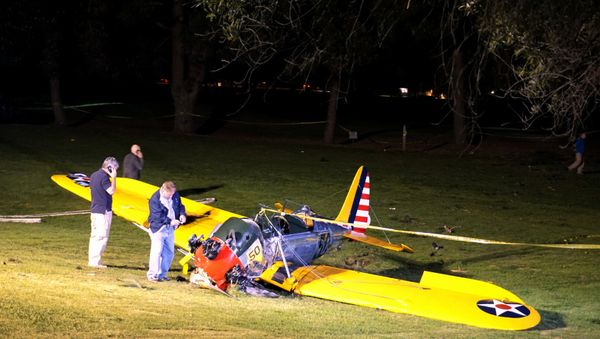 Officials work on the scene of a vintage airplane that crash-landed on the Penmar Golf Course in the Venice area of Los Angeles - Sputnik International