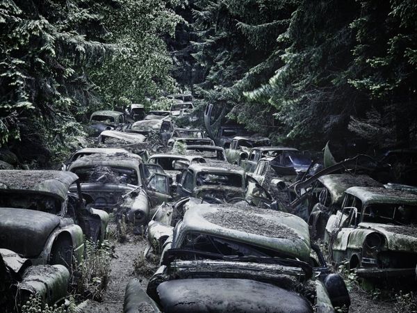 Forest Punk: Rusting Glory of Vintage Cars - Sputnik International