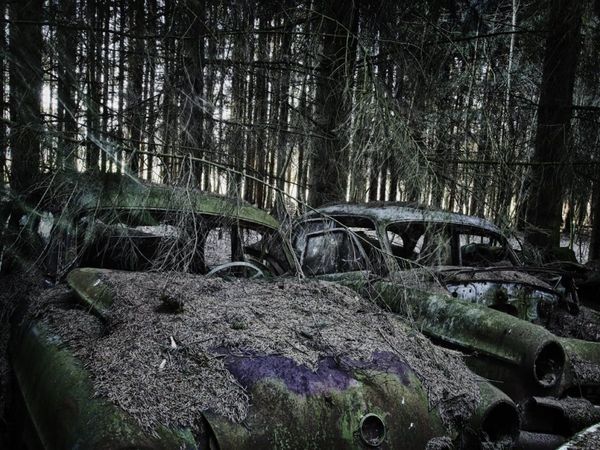 Forest Punk: Rusting Glory of Vintage Cars - Sputnik International