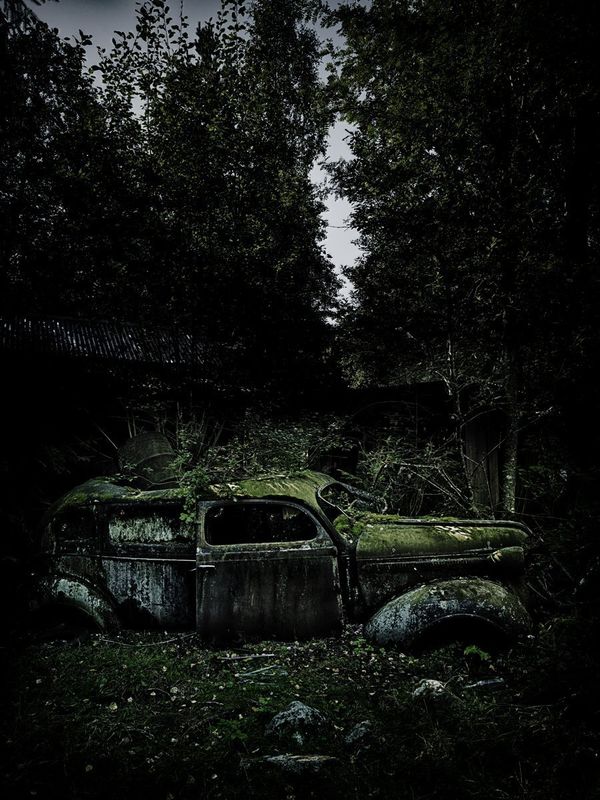 Forest Punk: Rusting Glory of Vintage Cars - Sputnik International