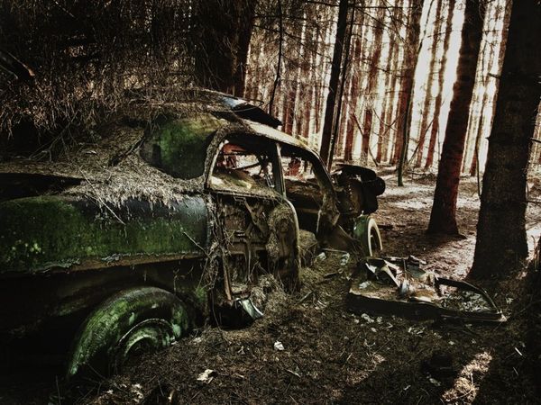 Forest Punk: Rusting Glory of Vintage Cars - Sputnik International