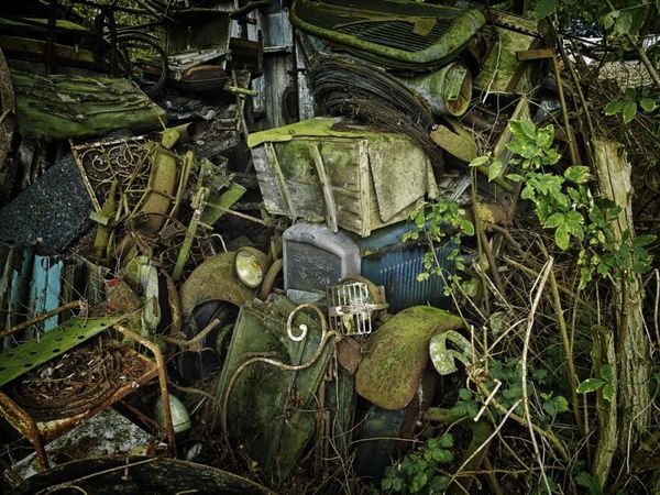 Forest Punk: Rusting Glory of Vintage Cars - Sputnik International