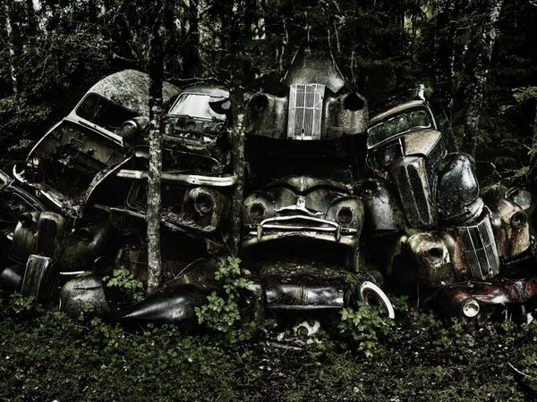 Forest Punk: Rusting Glory of Vintage Cars - Sputnik International