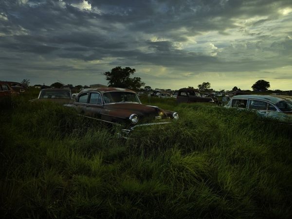 Forest Punk: Rusting Glory of Vintage Cars - Sputnik International