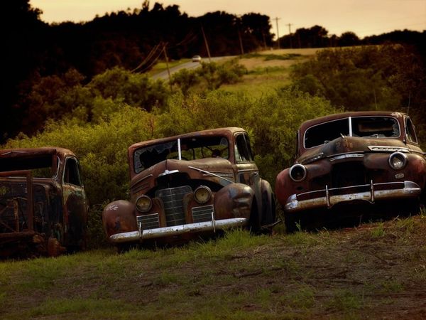 Forest Punk: Rusting Glory of Vintage Cars - Sputnik International
