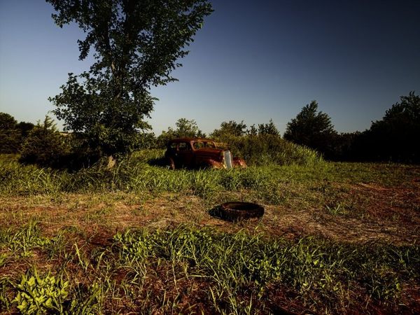 Forest Punk: Rusting Glory of Vintage Cars - Sputnik International