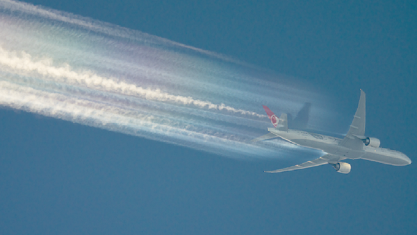 Boeing 777 Turkish Airlines Boeing 777 Turkish Airlines - Sputnik International