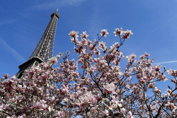 10 Things You Didn't Know About the Eiffel Tower 10 Things You Didn't Know About the Eiffel Tower - Sputnik International