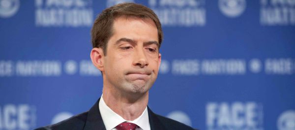 Senator Tom Cotton Senator Tom Cotton - Sputnik International