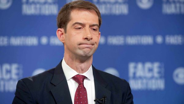 Senator Tom Cotton - Sputnik International