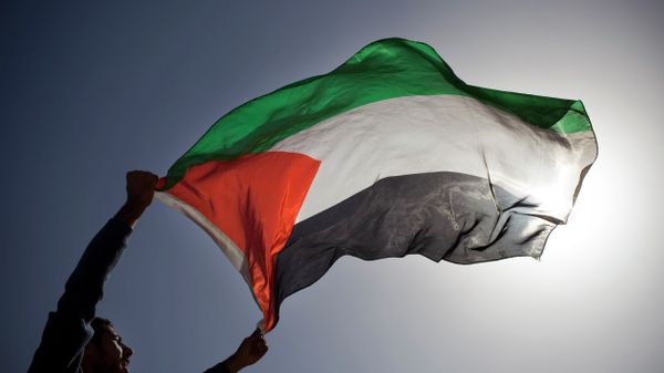 A Palestinian demonstrator waves a Palestinian flag. - Sputnik International