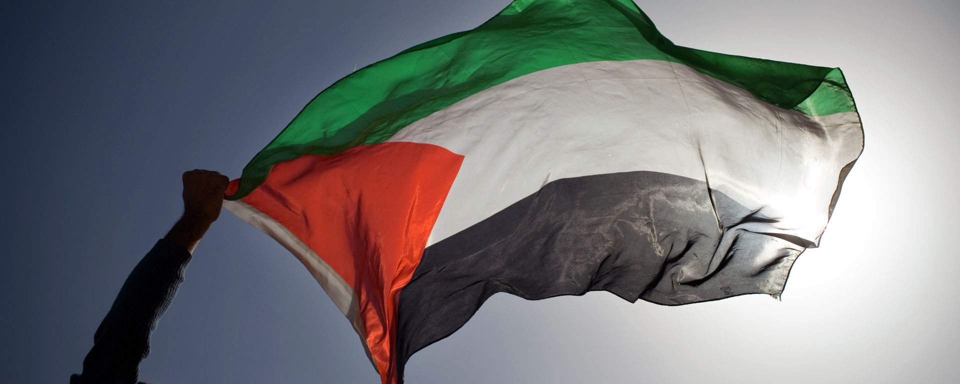 A Palestinian demonstrator waves a Palestinian flag. A Palestinian demonstrator waves a Palestinian flag. - Sputnik International, 1920, 05.01.2024