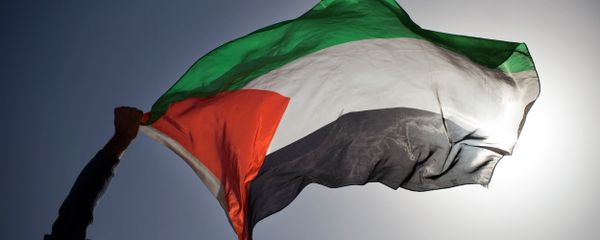 A Palestinian demonstrator waves a Palestinian flag. - Sputnik International