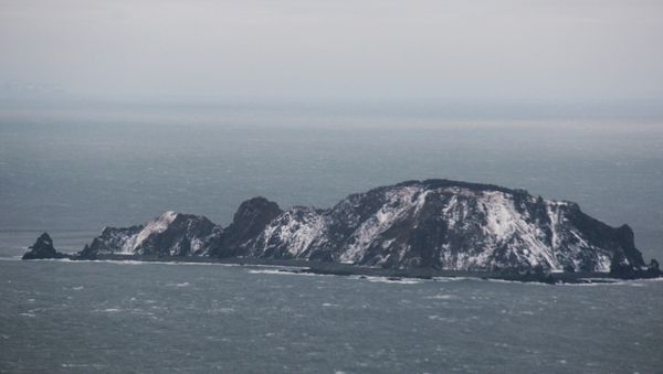 Searching for Amurskaya bulk freighter in Sea of Okhotsk - Sputnik International