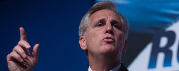 Kevin McCarthy - Sputnik International