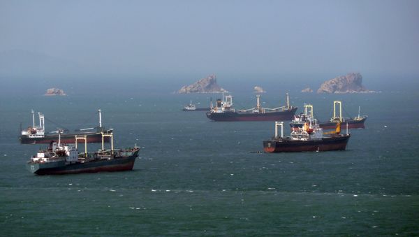North Korean cargo ships wait their turn for entry to the West Sea Barrage dividing the Taedong River and the port of Nampo from the West Sea of Korea in April 2011 - Sputnik International