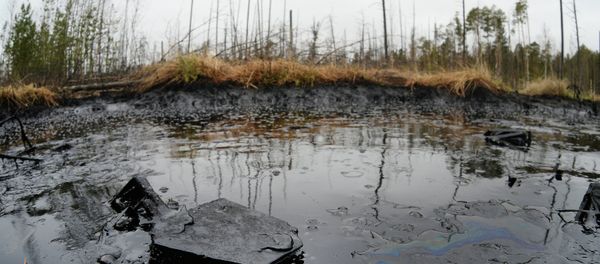 Oil spill Oil spill - Sputnik International