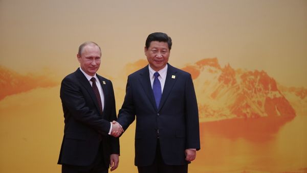 Vladimir Putin attends APEC summit Vladimir Putin attends APEC summit - Sputnik International