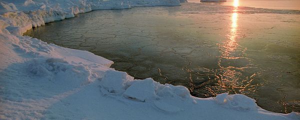 An Arctic dawn - Sputnik International