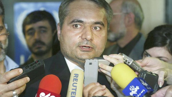 Seyed Hossein Mousavian - Sputnik International