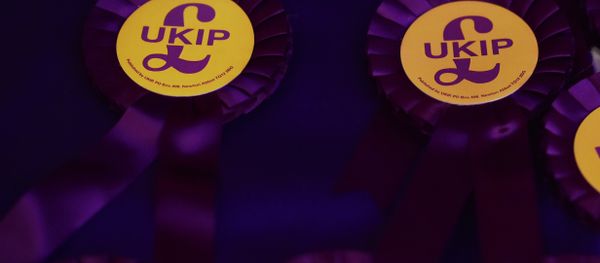UK Independence Party (UKIP) rosettes UK Independence Party (UKIP) rosettes - Sputnik International