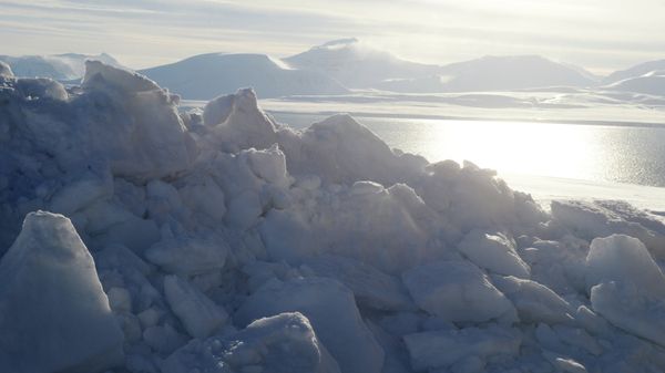 Polar expedition to Spitsbergen conducted as part of Arctica 2015 project - Sputnik International