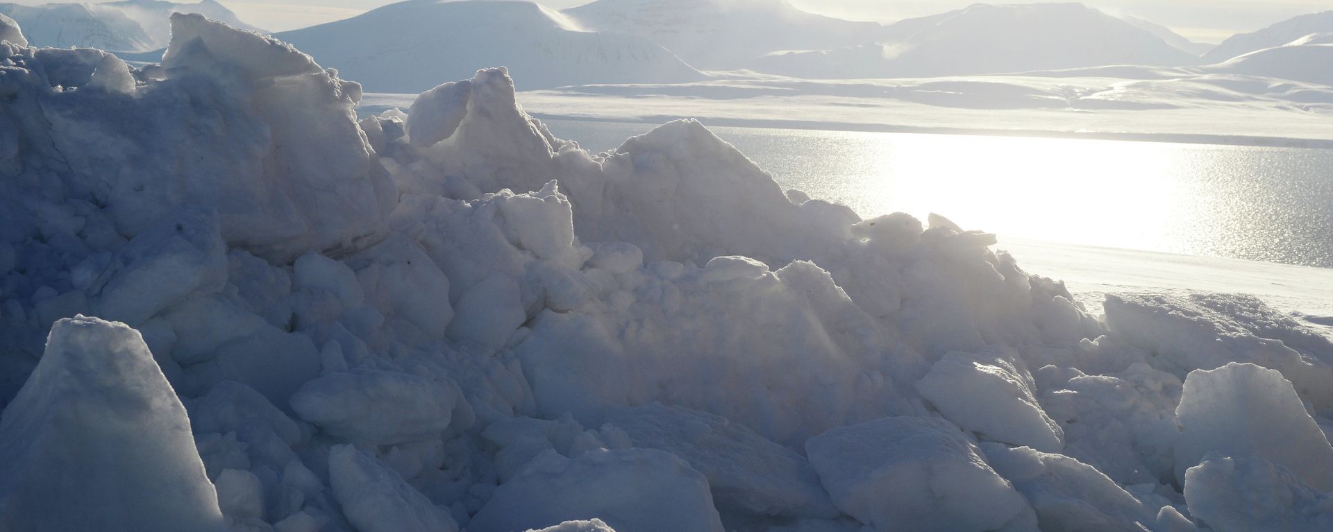Polar expedition to Spitsbergen conducted as part of Arctica 2015 project - Sputnik International, 1920, 02.10.2021
