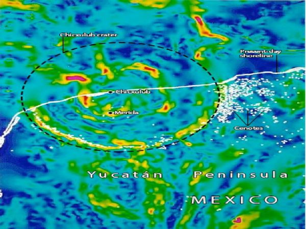 Topological features of the Chicxulub crater can be seen in this gravity map (red and yellow indicate high gravity, while green and blue are gravity lows). Topological features of the Chicxulub crater can be seen in this gravity map (red and yellow indicate high gravity, while green and blue are gravity lows). - Sputnik International
