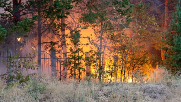 France sends to Russia plane to put out wildfires - Sputnik International