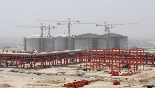 The partially constructed site which is part of the South Pars gas field facility, on the northern coast of Persian Gulf, in Assalouyeh, Iran The partially constructed site which is part of the South Pars gas field facility, on the northern coast of Persian Gulf, in Assalouyeh, Iran - Sputnik International
