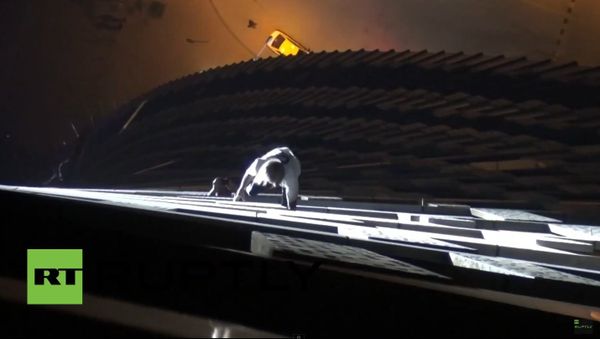 UAE: Watch SPIDERMAN climb Dubai's tallest twisted tower - Sputnik International
